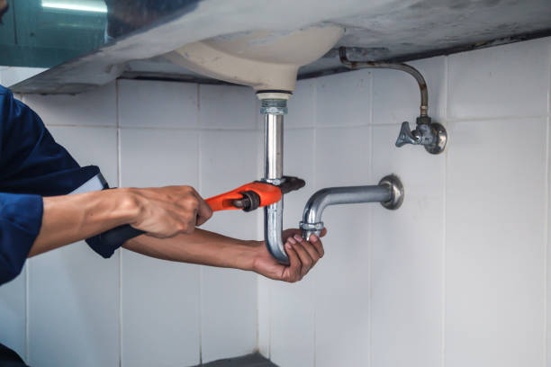 Best Clogged Drain Plumber  in La Joya, TX
